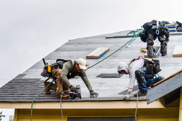 Professional Roofing technician working in Lineville, AL
